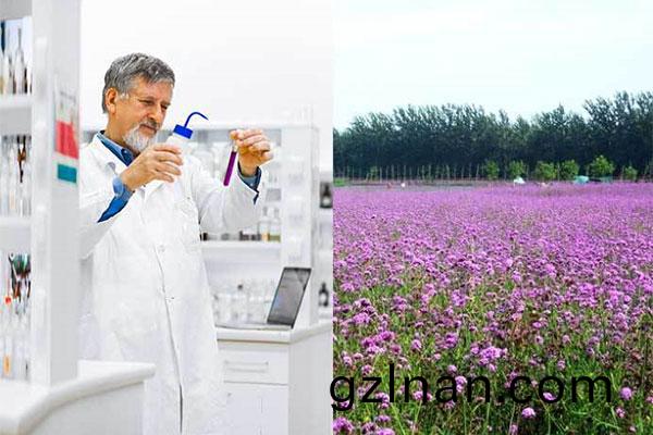 [TeamList:VideoName]